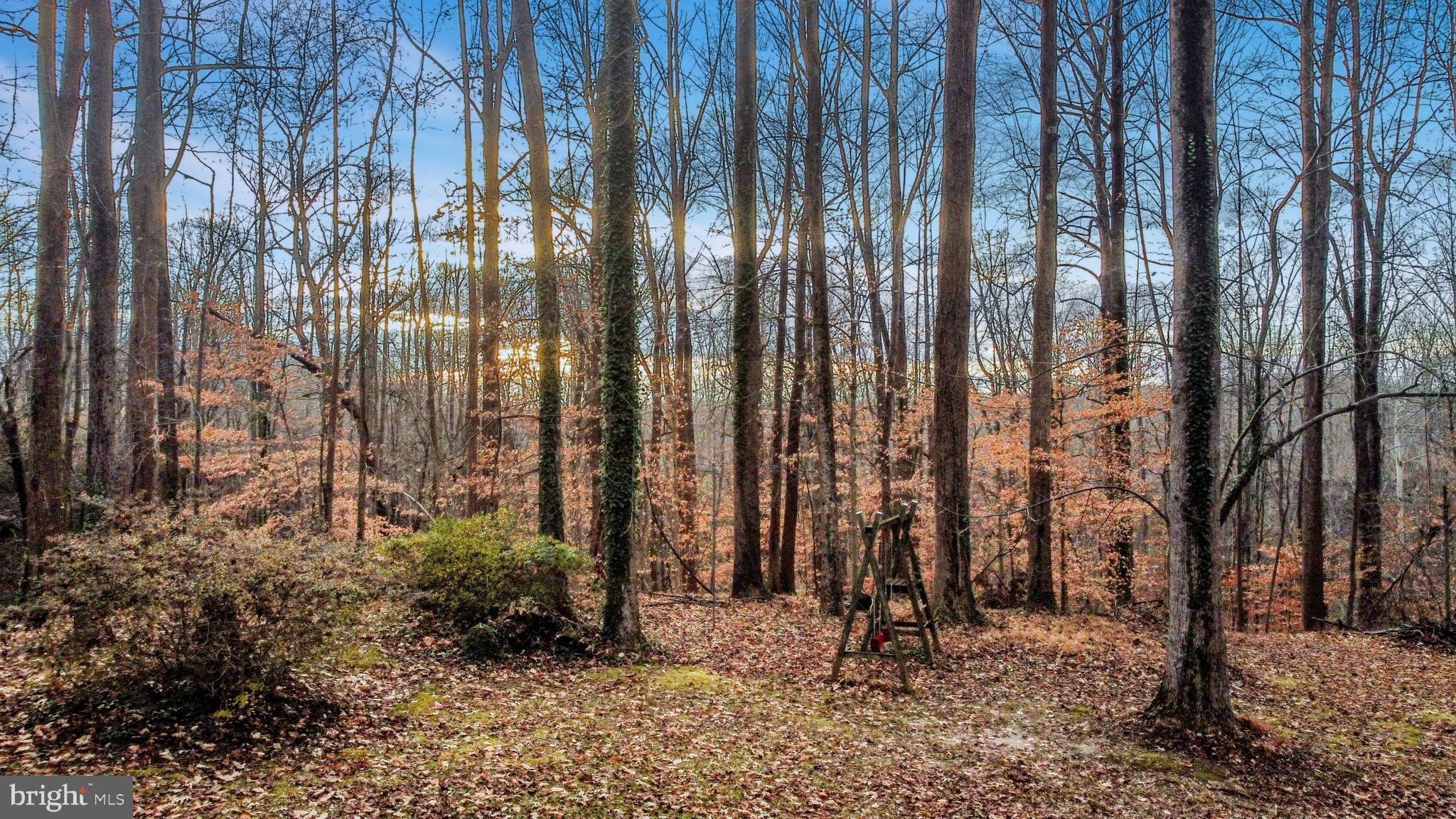 NORTH CHESAPEAKE BEACH - Residential