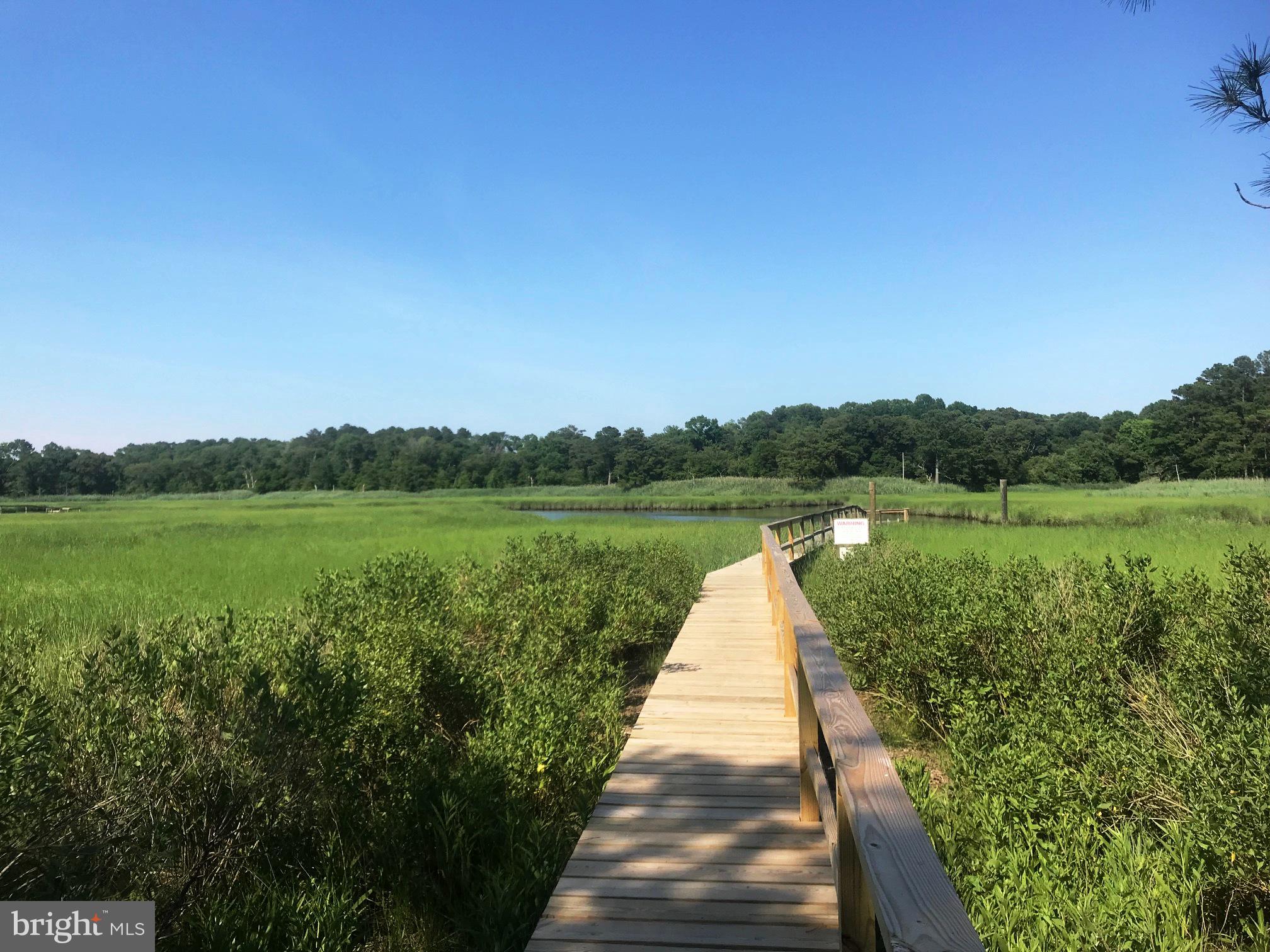 BLACKWATER VILLAGE - Residential