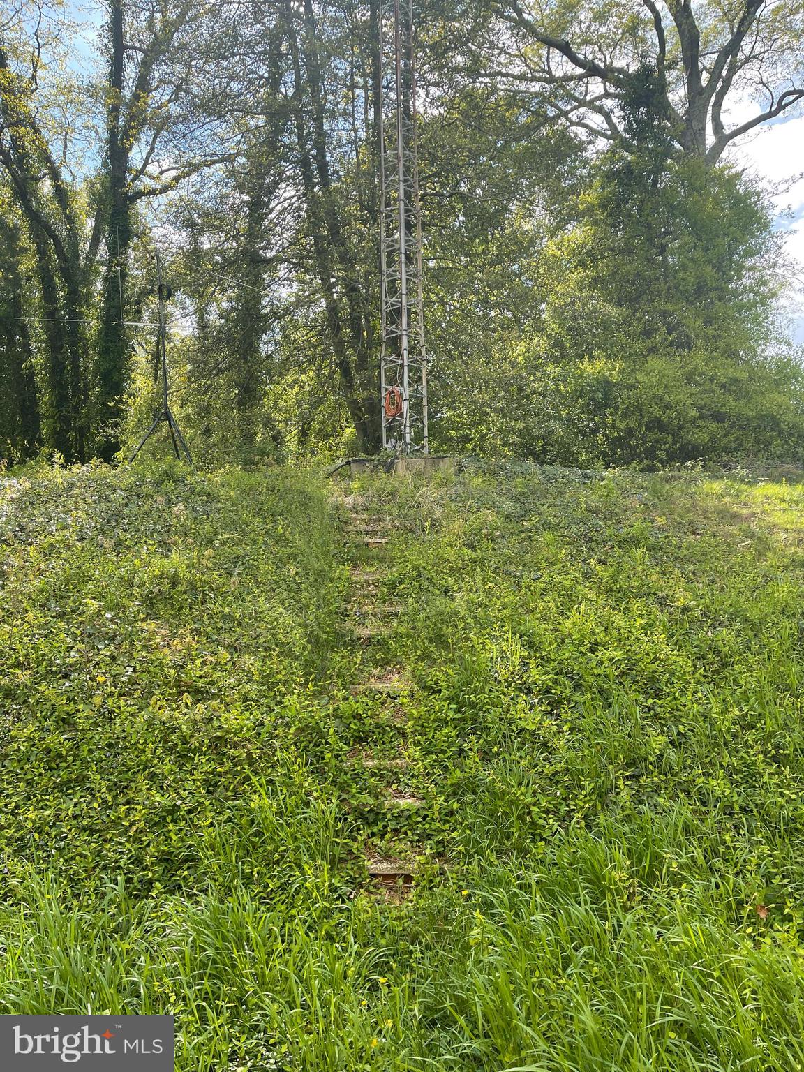 FOREST KNOLLS - Residential