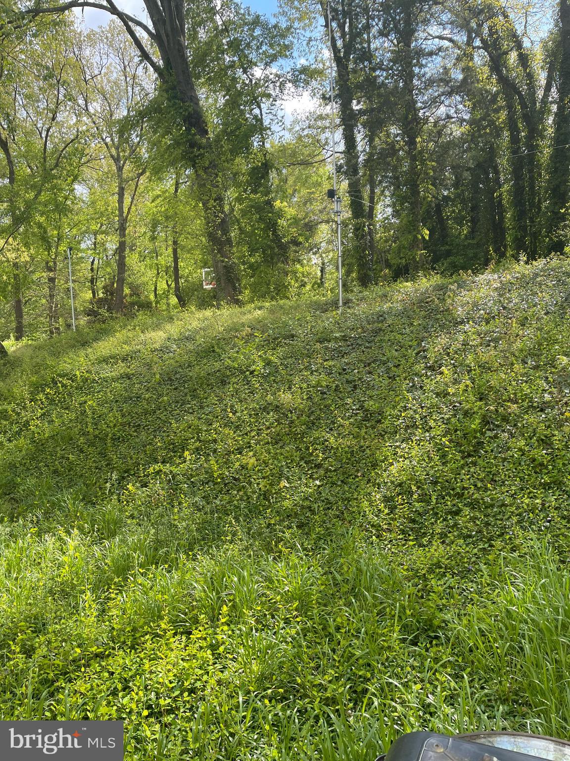 FOREST KNOLLS - Residential