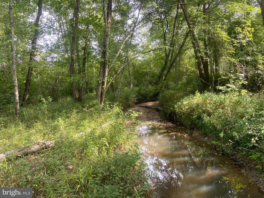 Beautiful 15 acre lot with road frontage and Po River access!...Zoned A-3 so ready for your animals or a variety of uses including recreational, residential, or agricultural. (Three different conventional soil perc sites done within the last year)  Current owner did some land work including clearing out a house site, several select cut trees, and trails down to the river and clearings across the property.  The land has several flat areas and gentle rolling hills full of beech and oak trees.  Two electrical transformer boxes located on site ready for new home sites. The county also advised you can get additional 3-4 homesites on the property as it has not been split!  Great location in heart of Spotsylvania close to Rt 208, Brock Rd, Wawa, and Lake Anna. 30 Minutes to Fredericksburg. Schedule a tour today! Appointment Only.