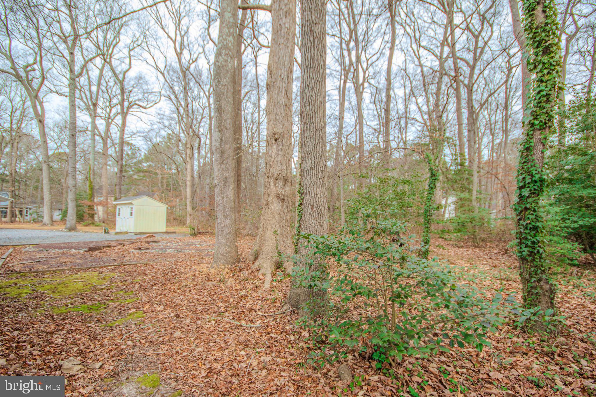 OCEAN PINES - PINEHURST - Residential