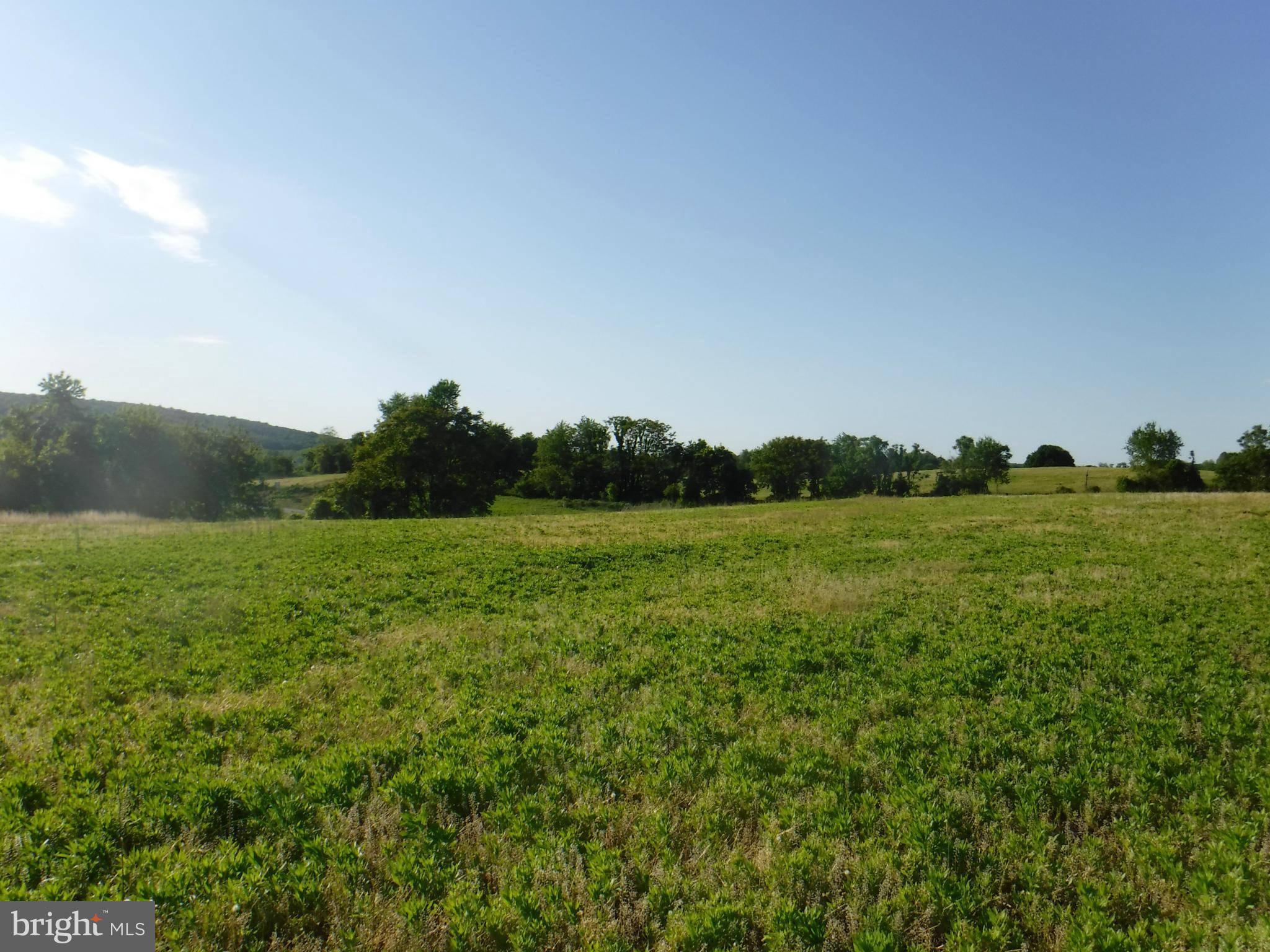 Spectacular views from Washington Co HOTTEST NEW SUBDIVISION!! Just past Frederick Co line, and over the hill from Burkittsville* Walk to Appalachian Trail & short drive to Potomac River & MARC rail to Montgomery Co & DC * Conventional perc approved * You won't find nicer lots on the market! Bring your plans and build your New home*Some lots partially wooded, some back to parkland*ALL LOTS HAVE PHENOMINAL VIEWS AND ARE ALL 3+ ACRES* ONLY 3 LOTS LEFT* You may use any builder. No time limit on when you build