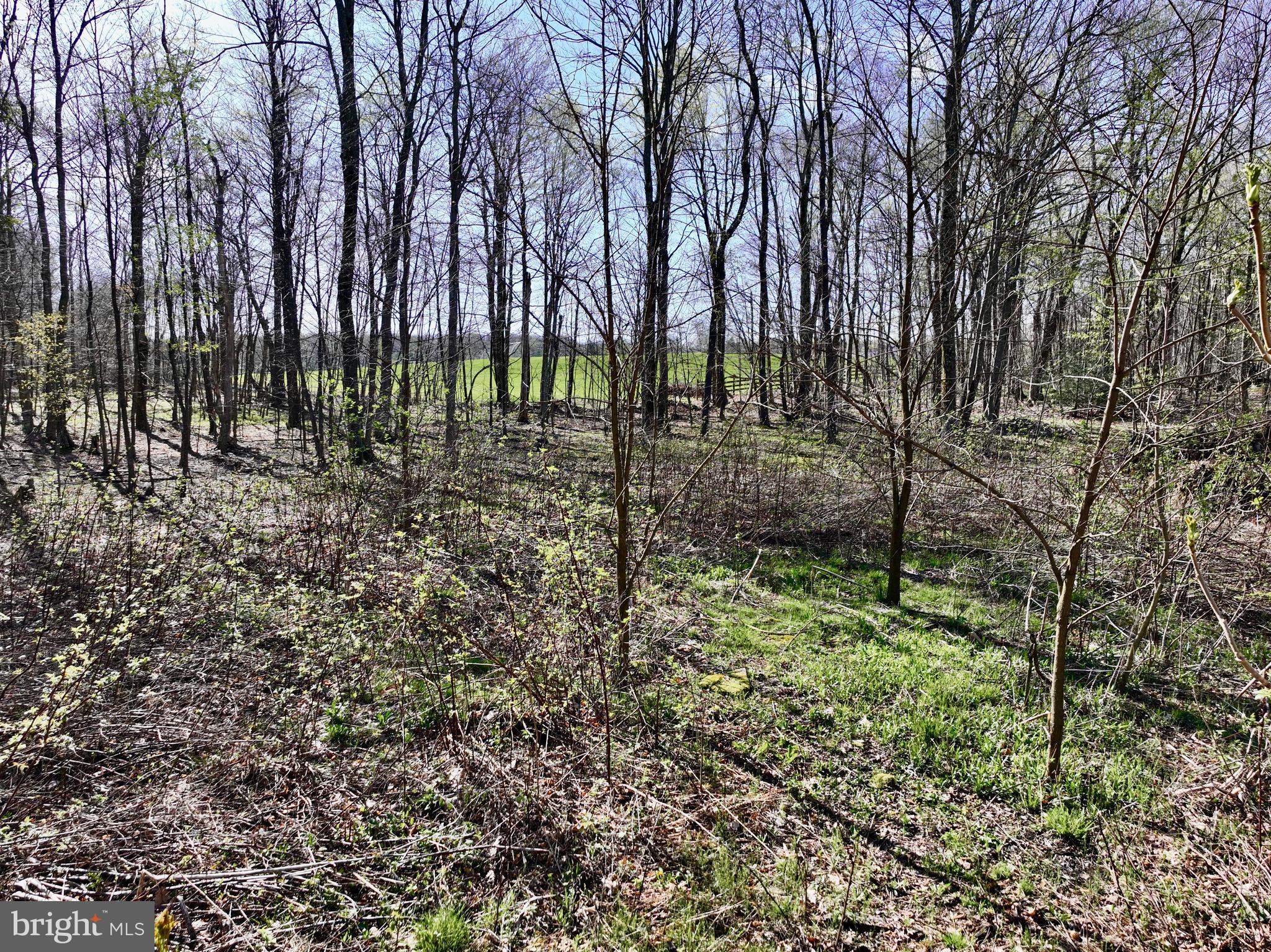 SERENITY ESTATES - Land