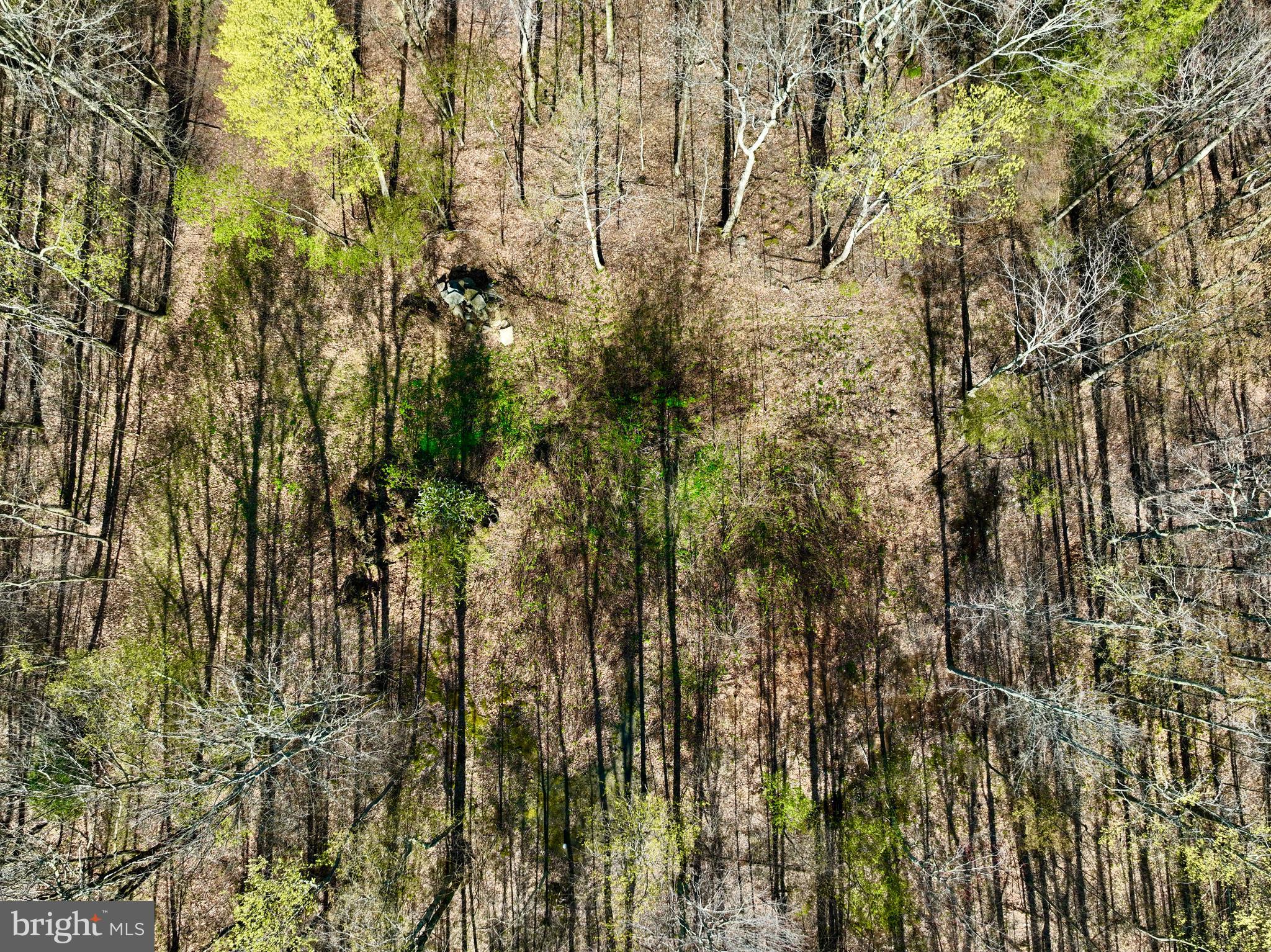 SERENITY ESTATES - Land