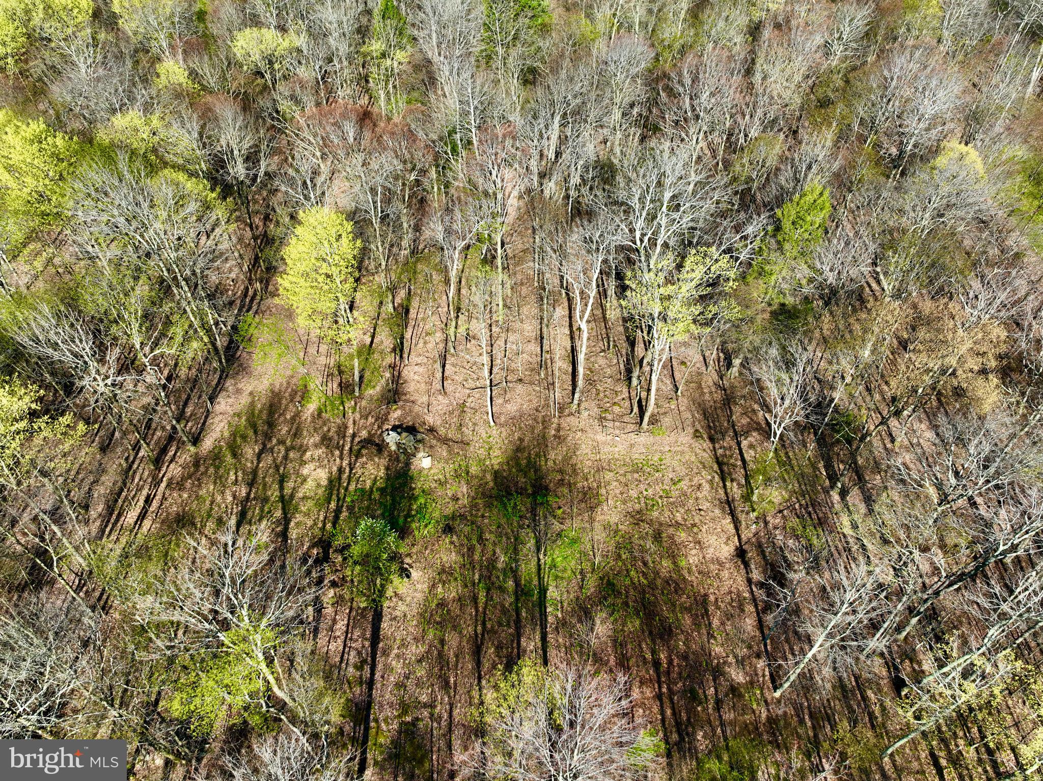 SERENITY ESTATES - Land