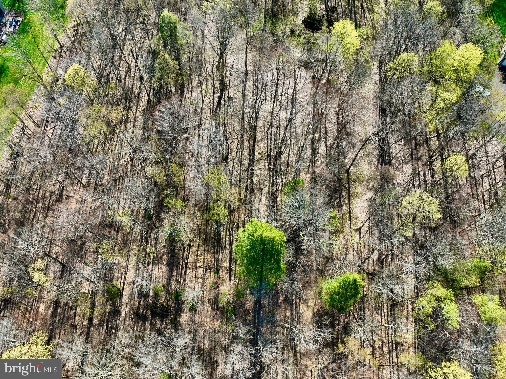 SERENITY ESTATES - Land