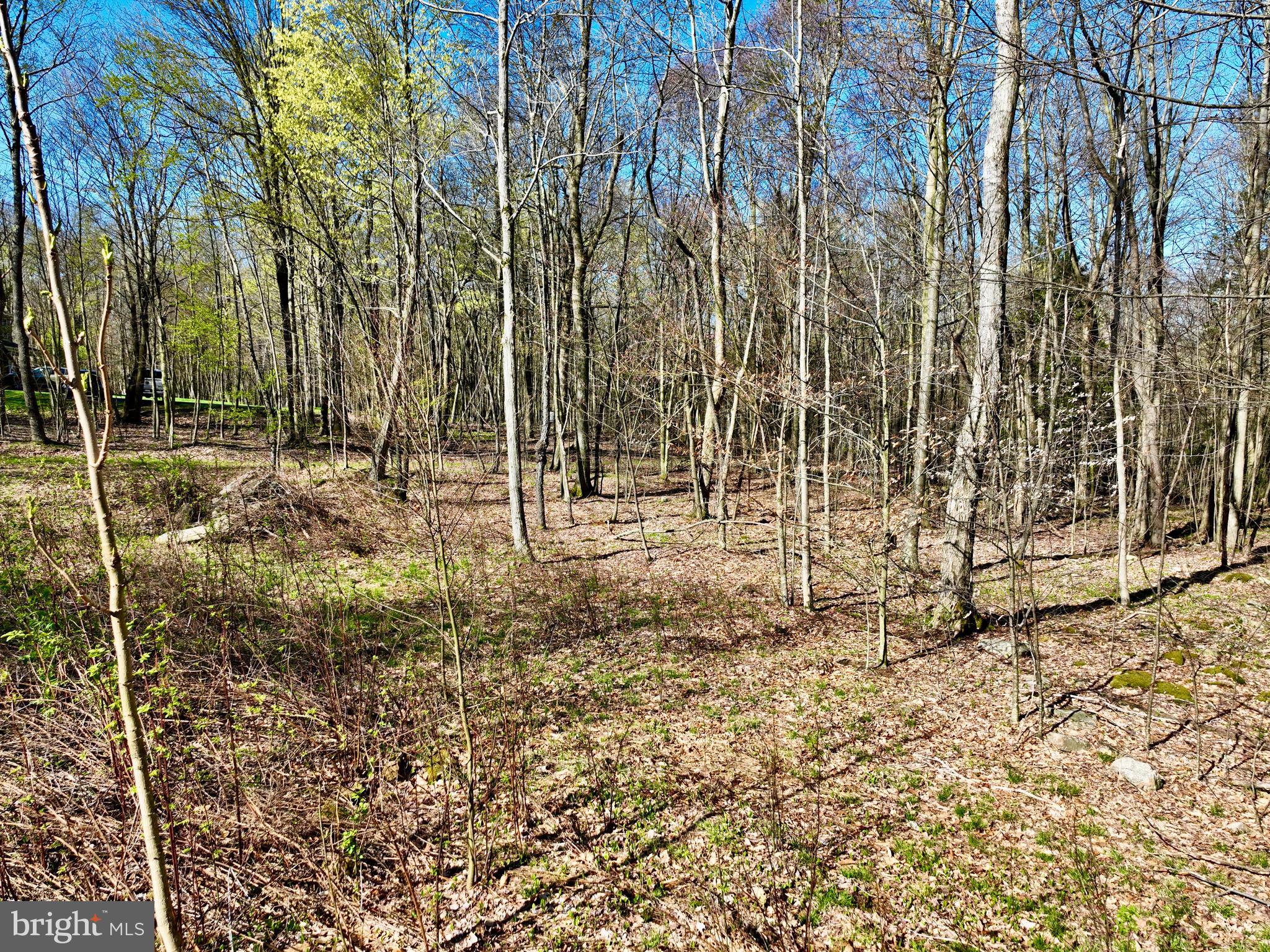 SERENITY ESTATES - Land