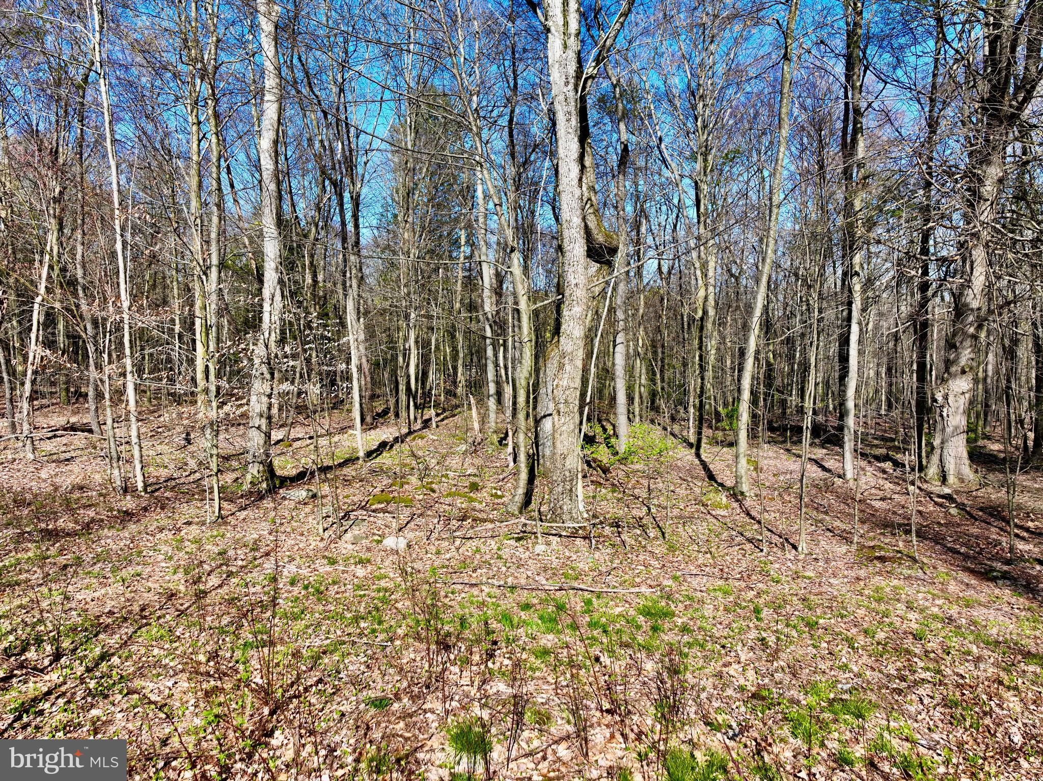 SERENITY ESTATES - Land