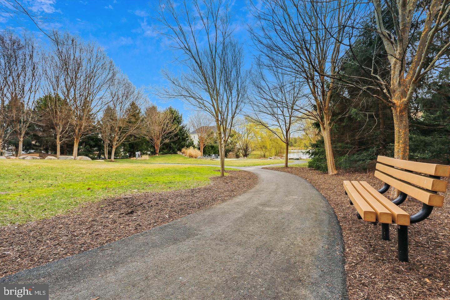 BELMONT TRACE - Residential