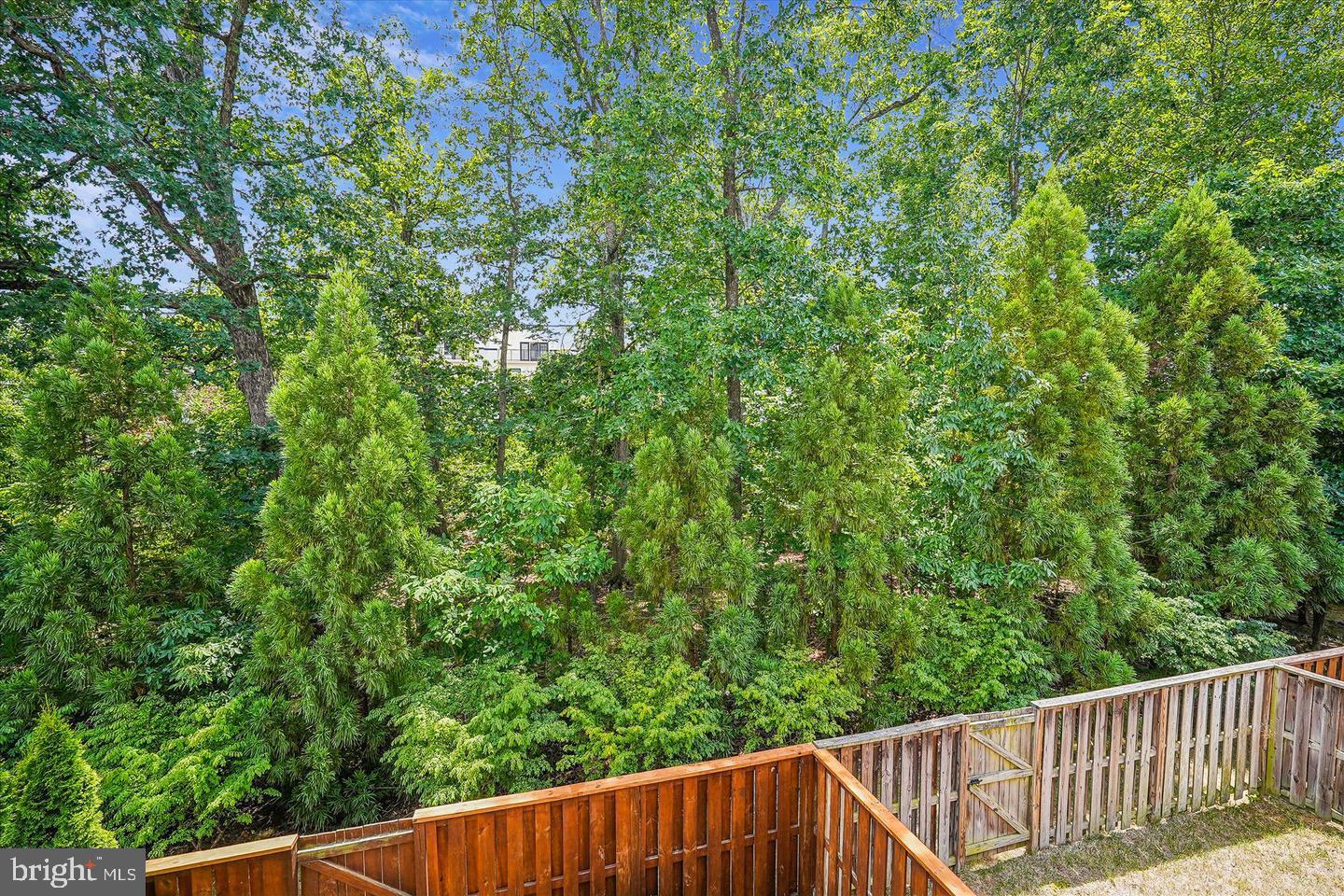 BELMONT TRACE - Residential