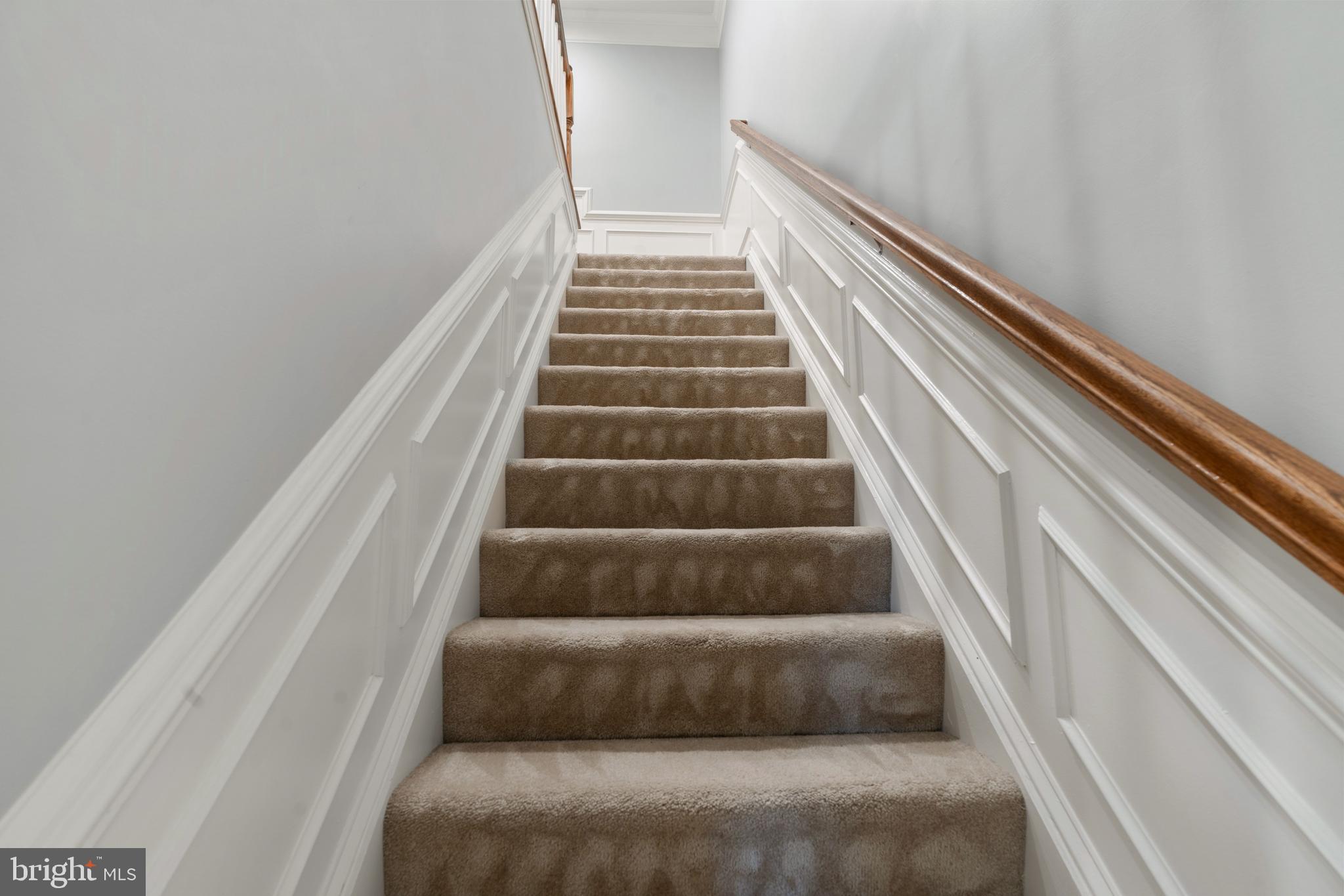 BELMONT TRACE - Residential