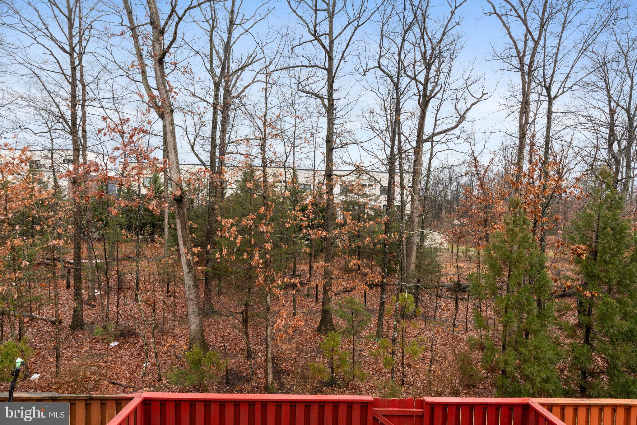 BELMONT TRACE - Residential