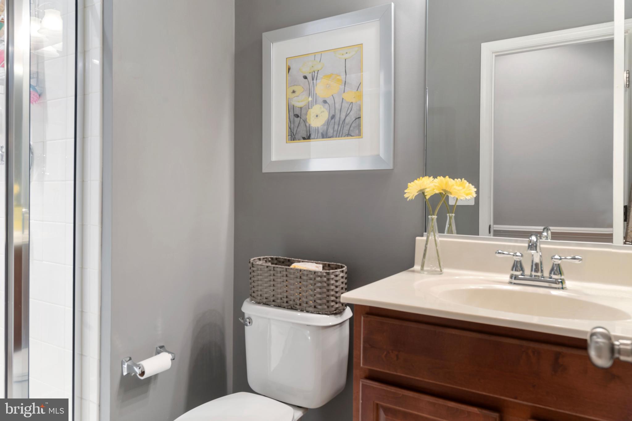 BELMONT TRACE - Residential