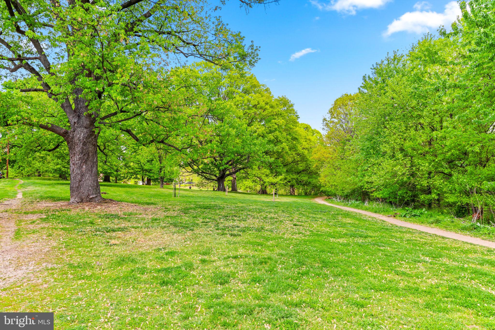 WYMAN PARK HAMPDEN - Residential
