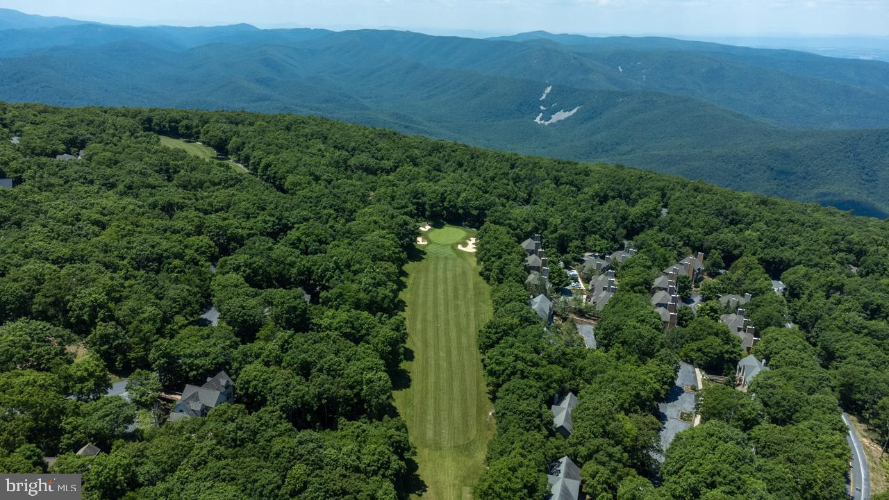 WINTERGREEN DEVILS KNOB - Residential