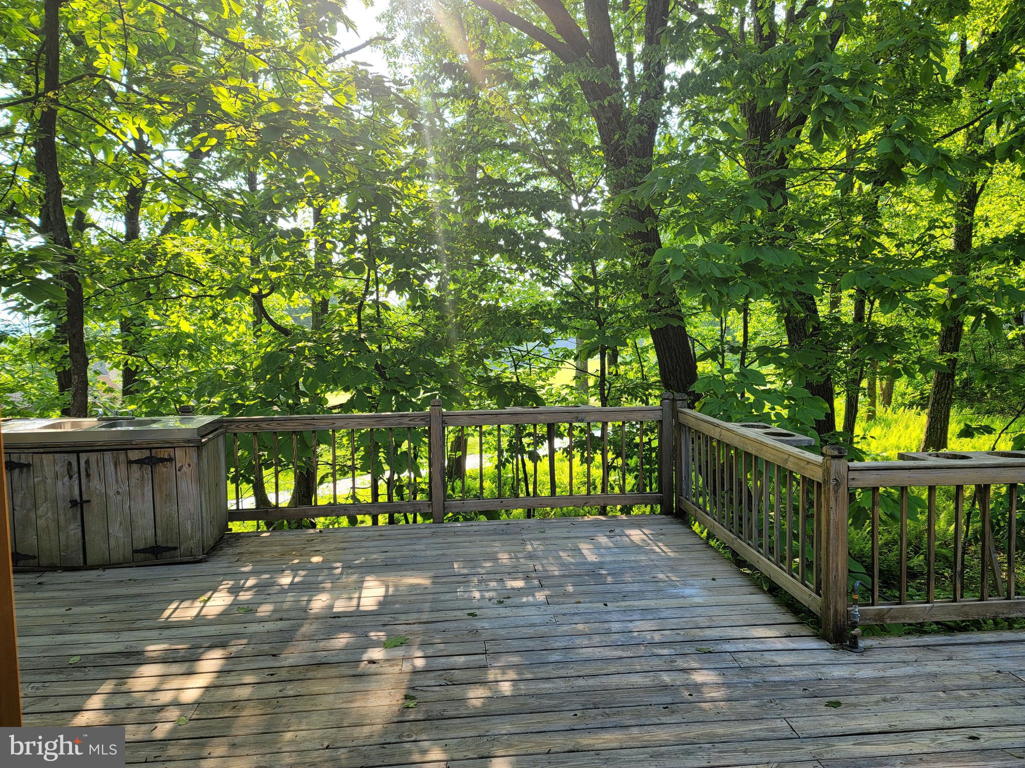 WINTERGREEN DEVILS KNOB - Residential