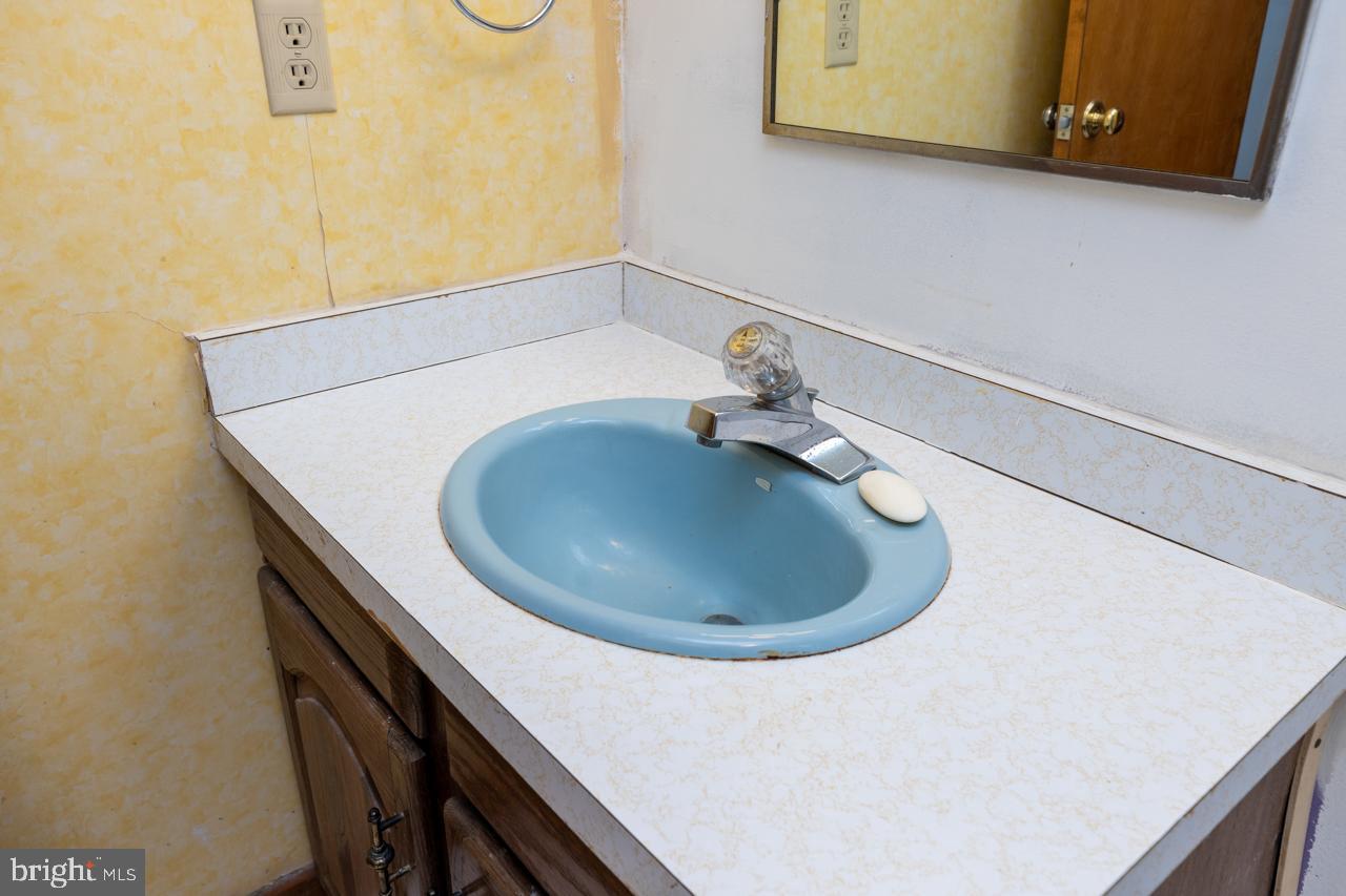 WINTERGREEN DEVILS KNOB - Residential