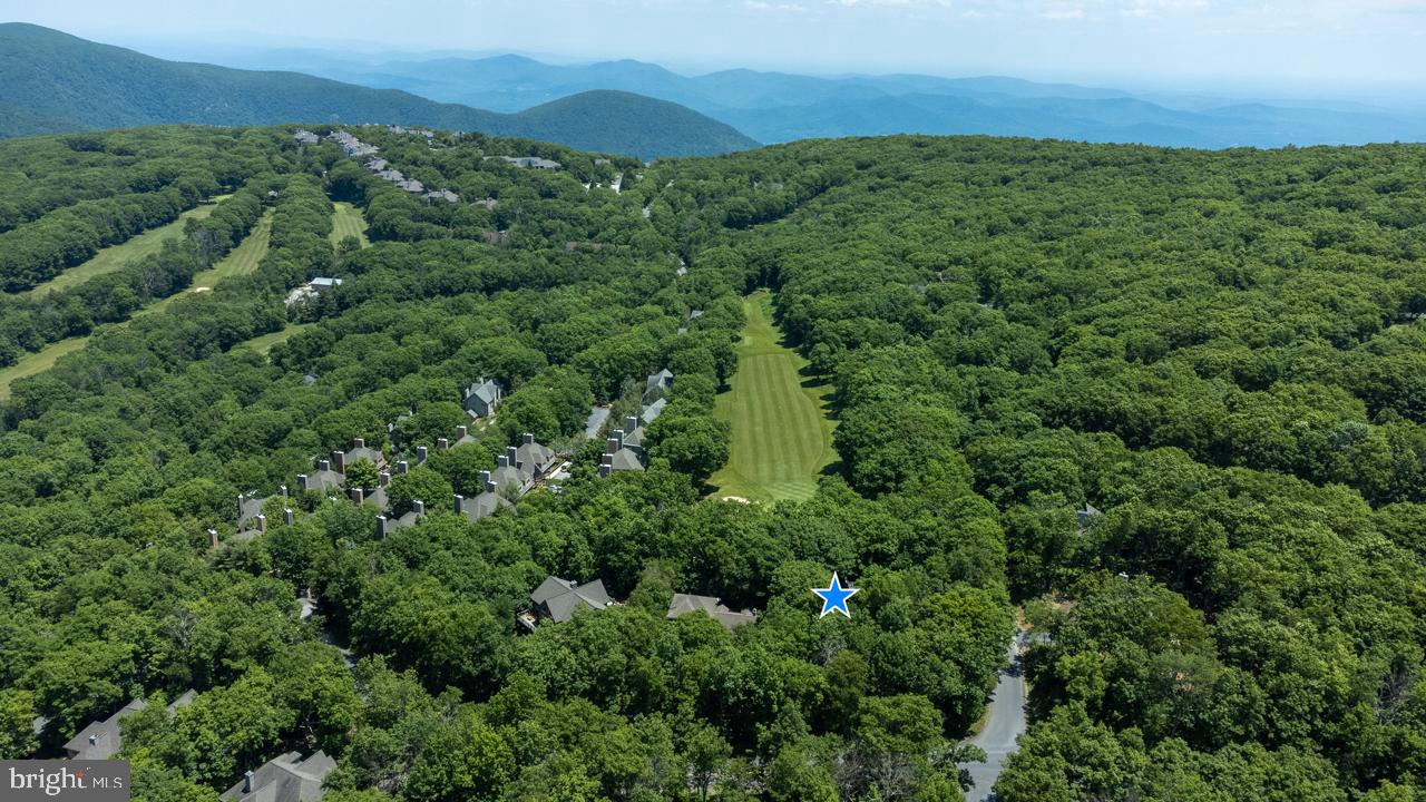 WINTERGREEN DEVILS KNOB - Residential