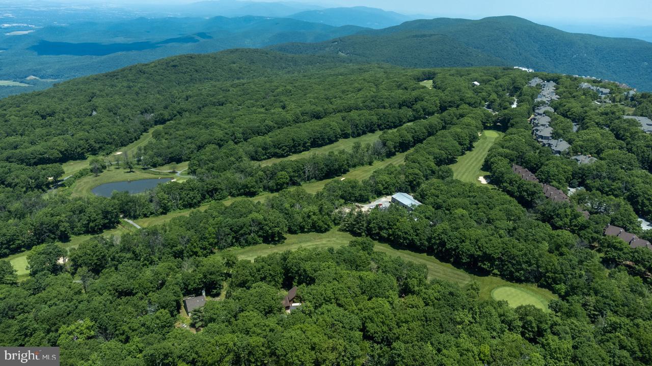 WINTERGREEN DEVILS KNOB - Residential