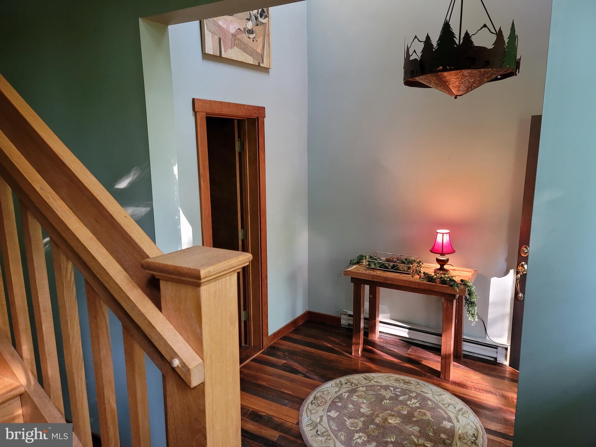 WINTERGREEN DEVILS KNOB - Residential