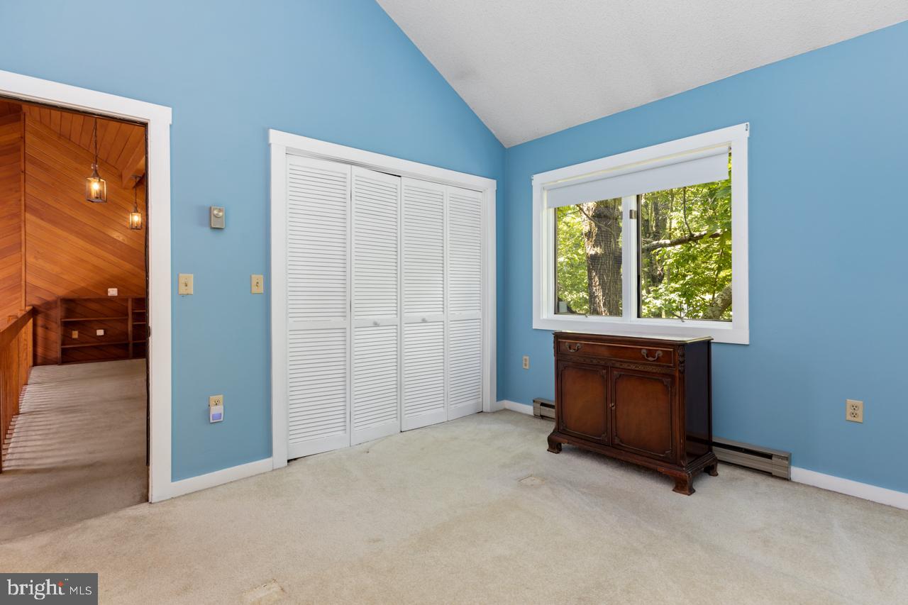 WINTERGREEN DEVILS KNOB - Residential