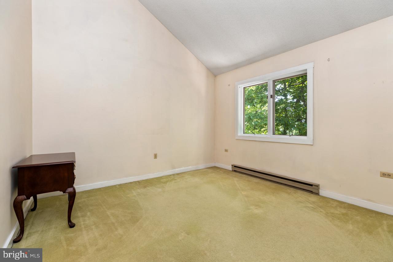 WINTERGREEN DEVILS KNOB - Residential