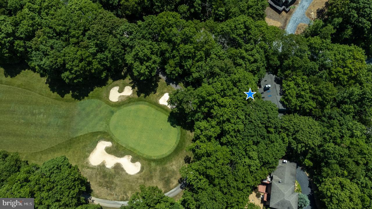 WINTERGREEN DEVILS KNOB - Residential