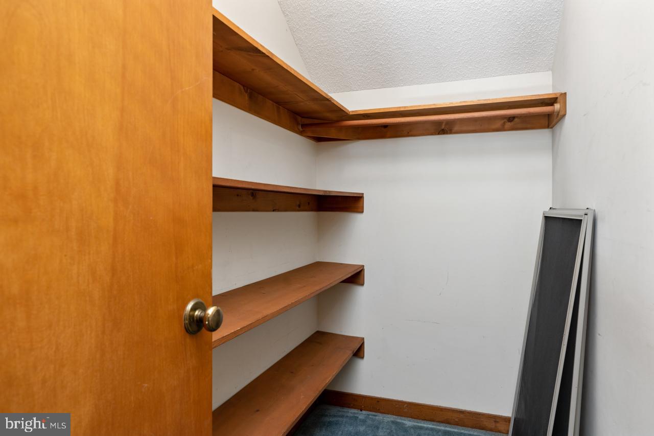 WINTERGREEN DEVILS KNOB - Residential