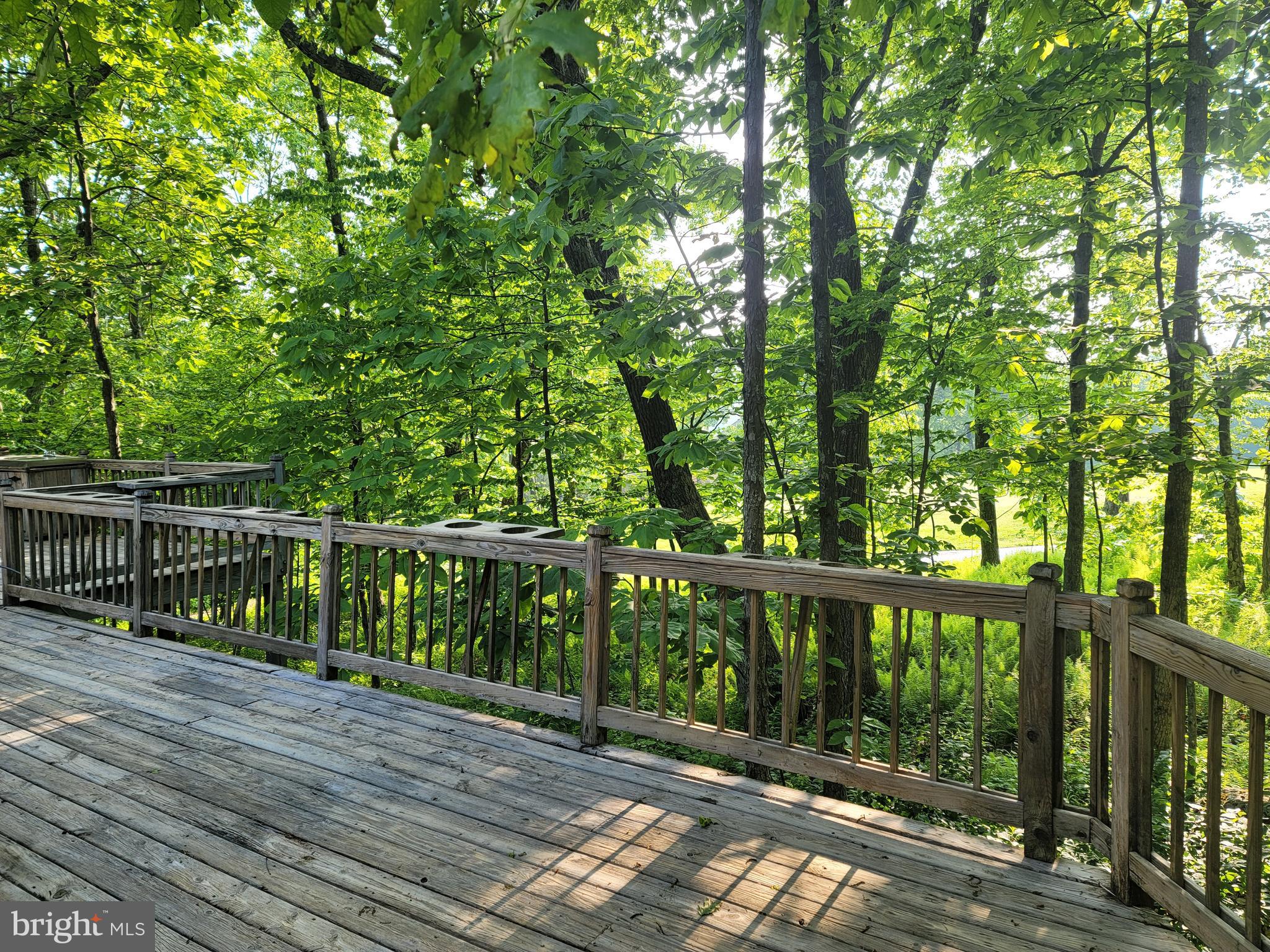 WINTERGREEN DEVILS KNOB - Residential