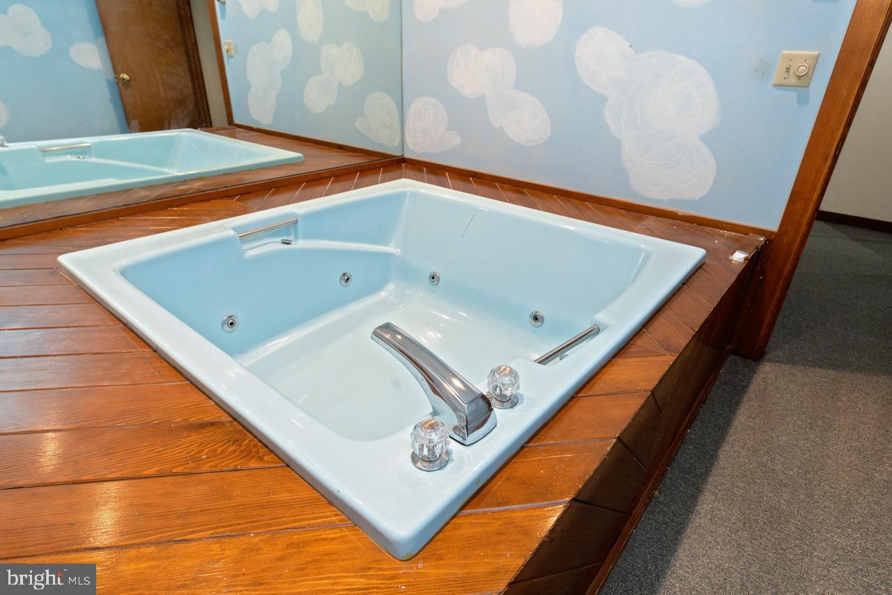 WINTERGREEN DEVILS KNOB - Residential