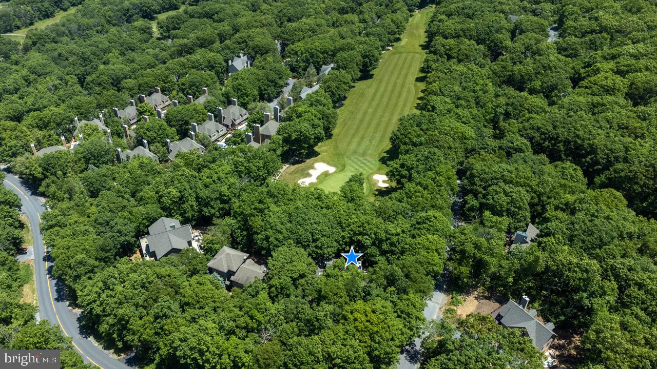 WINTERGREEN DEVILS KNOB - Residential