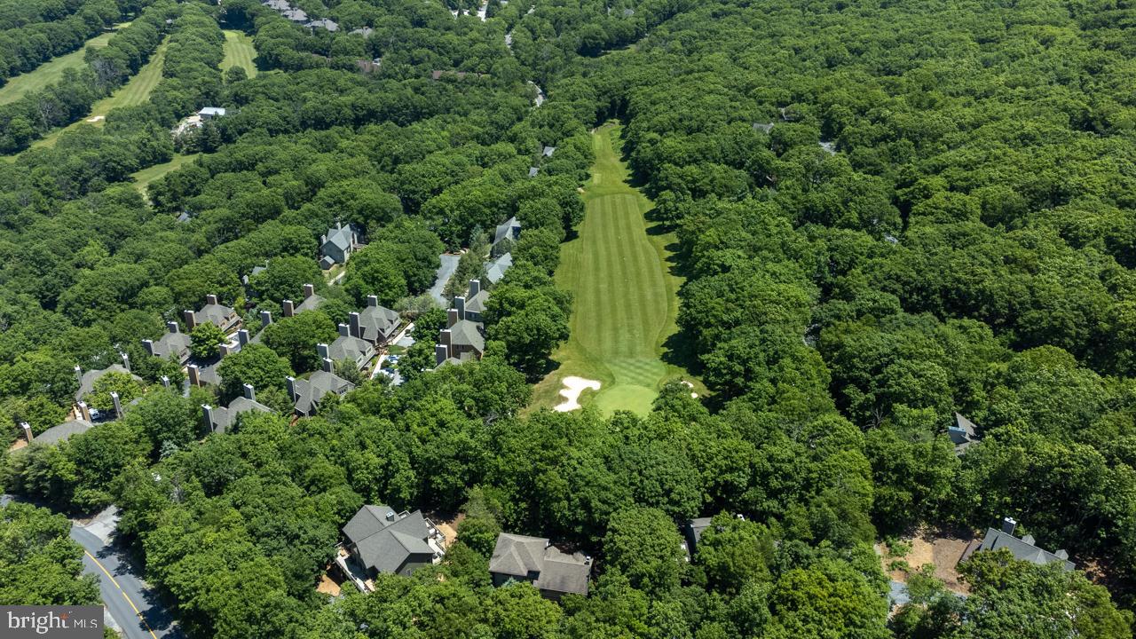 WINTERGREEN DEVILS KNOB - Residential