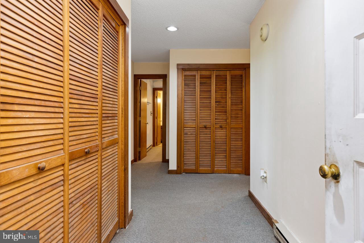 WINTERGREEN DEVILS KNOB - Residential