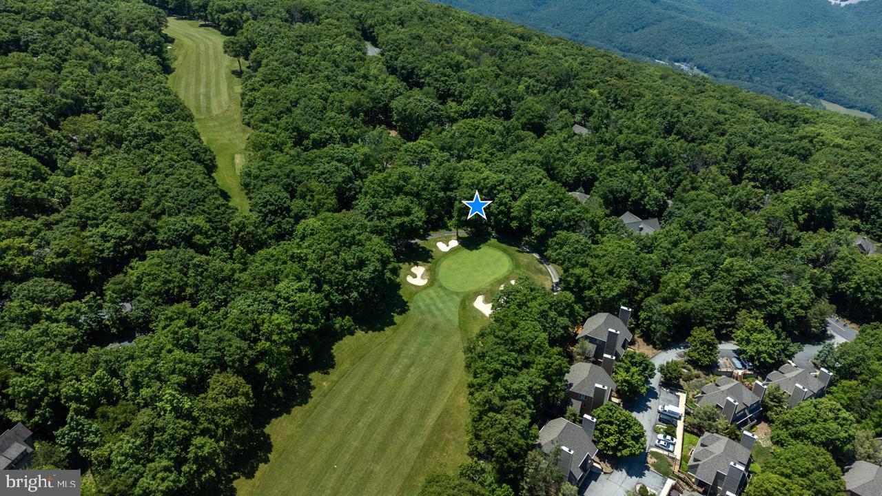 WINTERGREEN DEVILS KNOB - Residential