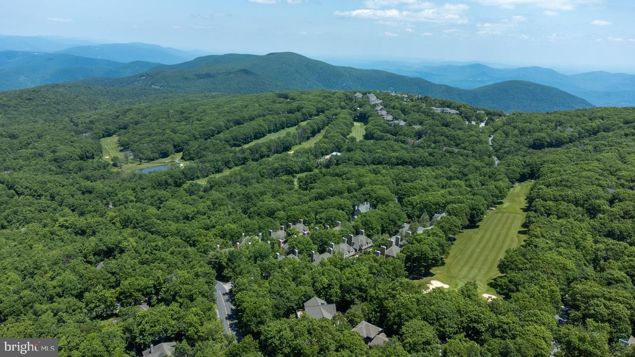 WINTERGREEN DEVILS KNOB - Residential