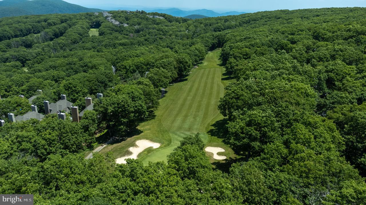 WINTERGREEN DEVILS KNOB - Residential