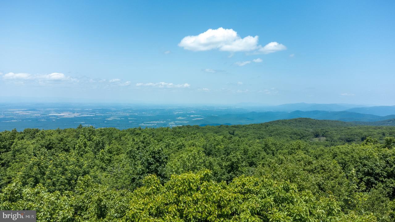 WINTERGREEN DEVILS KNOB - Residential