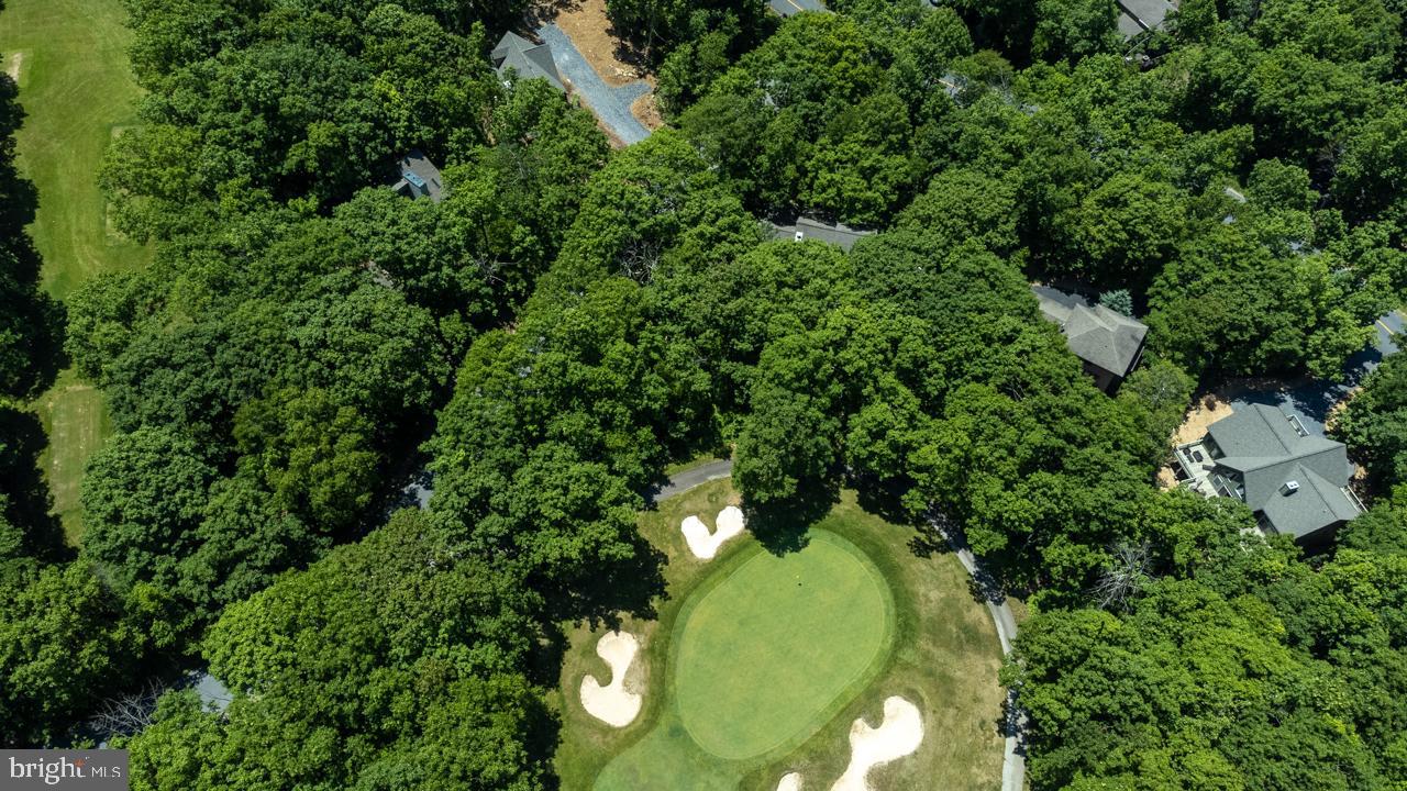 WINTERGREEN DEVILS KNOB - Residential