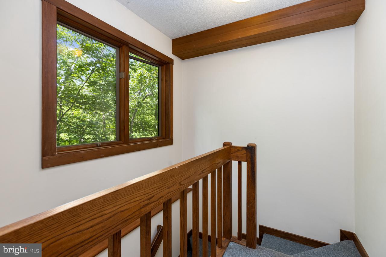 WINTERGREEN DEVILS KNOB - Residential