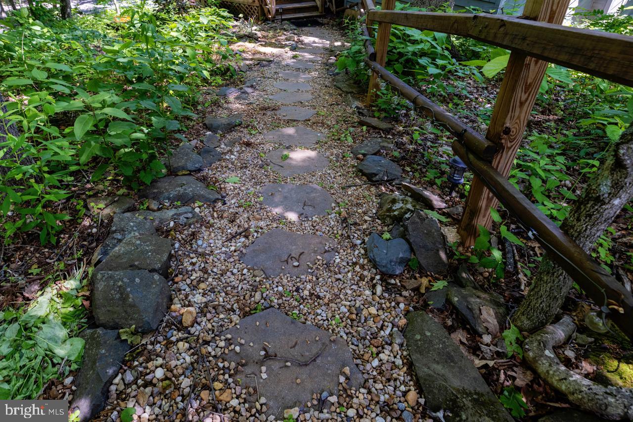 WINTERGREEN DEVILS KNOB - Residential