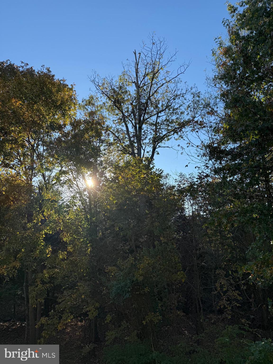 44424 LIVONIA TERRACE
