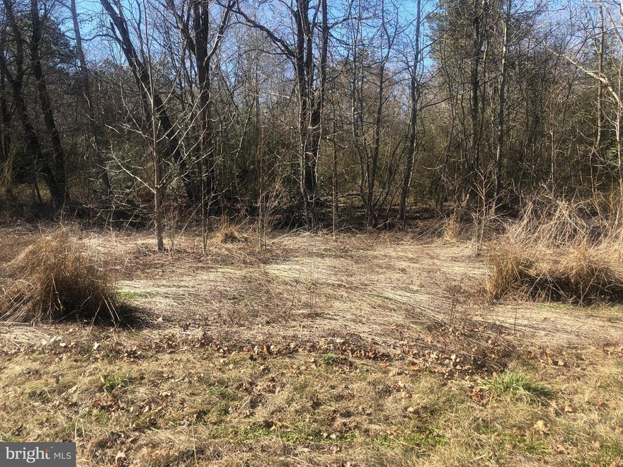 18.95+- acre wooded homesite with positive perc analysis in 2019. Surrounded by agricultural fields and forested land, this homesite is ideally suited for the recreational buyer. Within 10 minutes of the public boat ramp at Cherry Beach Park and Boat Ramp in Sharptown, MD. Also, within minutes of Delaware for tax-free shopping.