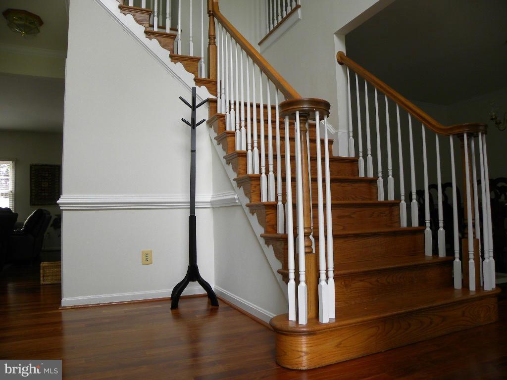 TRUE LANE PROPERTY - Residential Lease