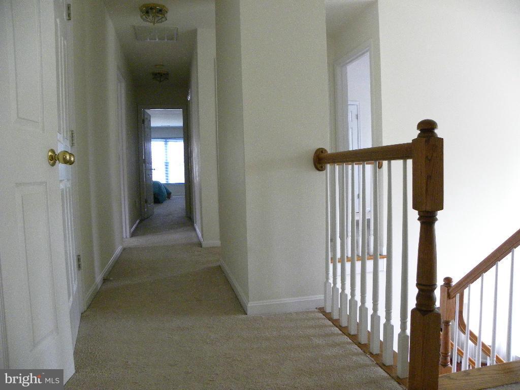 TRUE LANE PROPERTY - Residential Lease