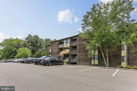 7810 HANOVER PARKWAY 336 GREENBELT MD 20770