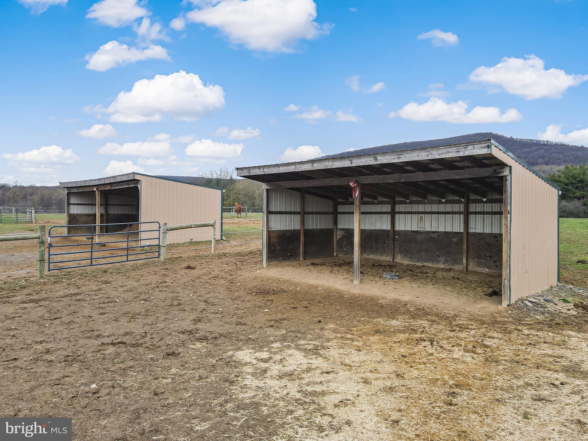 NONE AVAILABLE - Farm