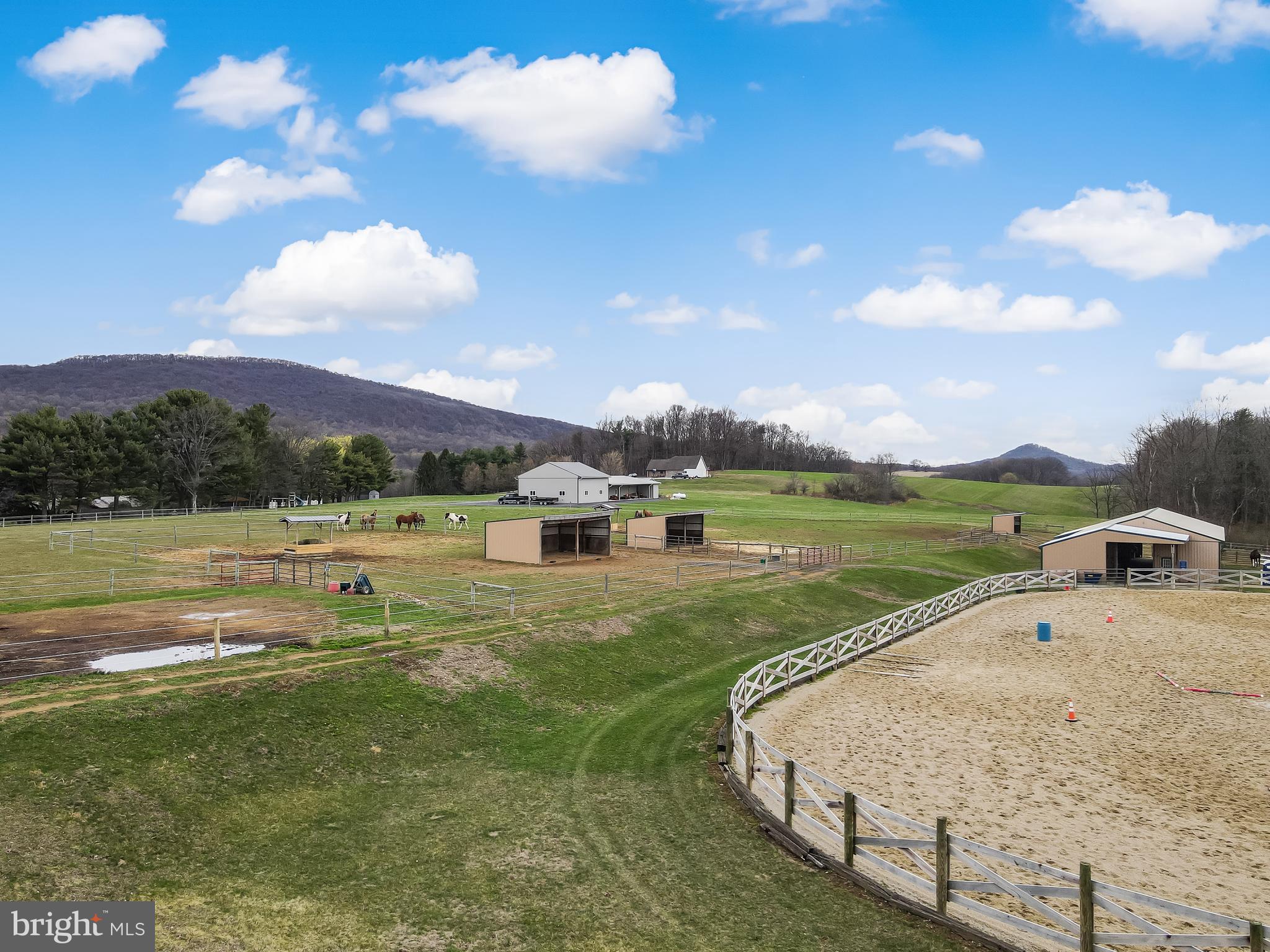 NONE AVAILABLE - Farm