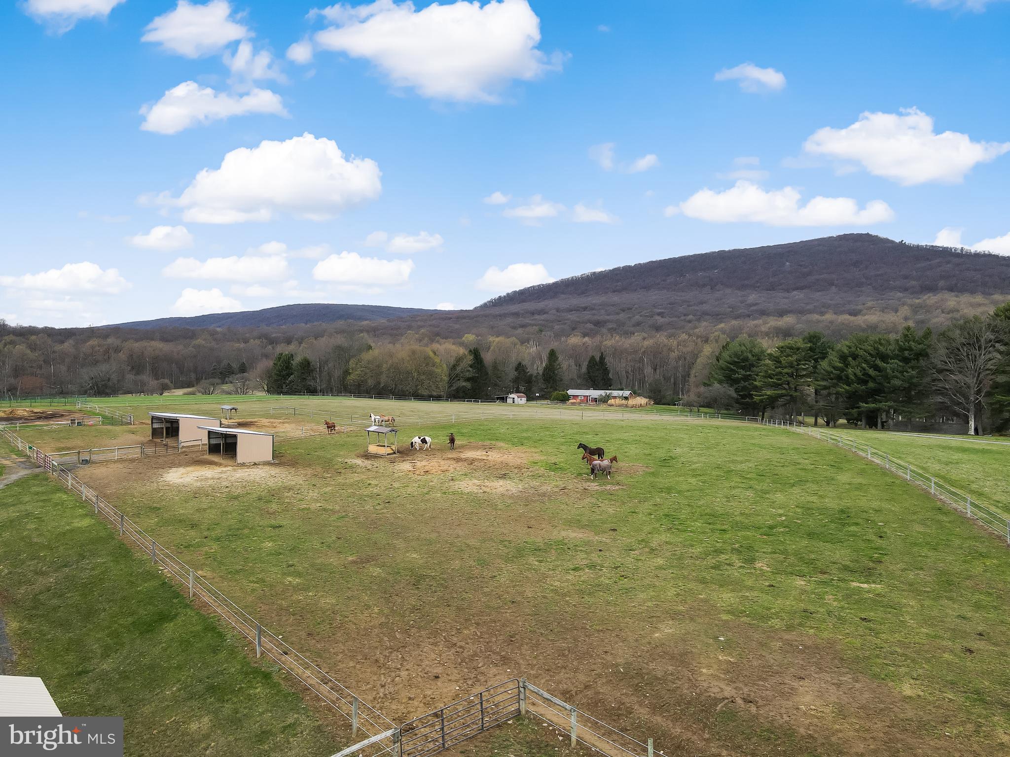 NONE AVAILABLE - Farm