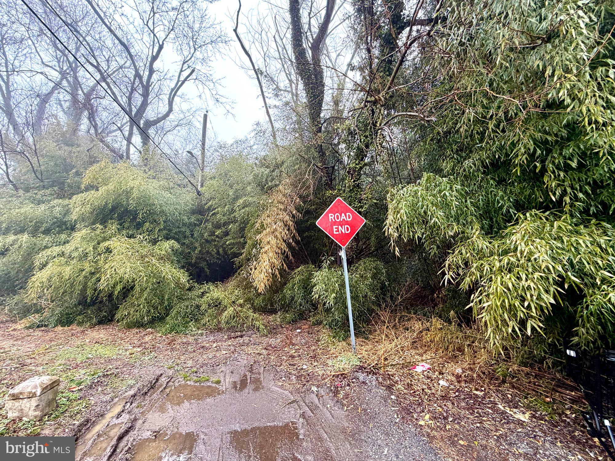 CATONSVILLE MANOR - Land